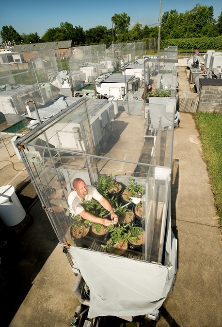Soilbin Chamber